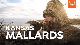 Kansas Mallards with Ryan Callaghan