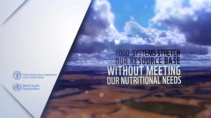 What are food systems?