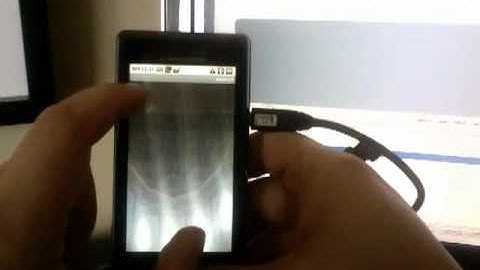 Pinch Zoom on Droid w/ Android 2.0