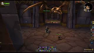 Battle Hardened Heirloom Armor Casing ALLIANCE - From where to buy WoW Dragonflight