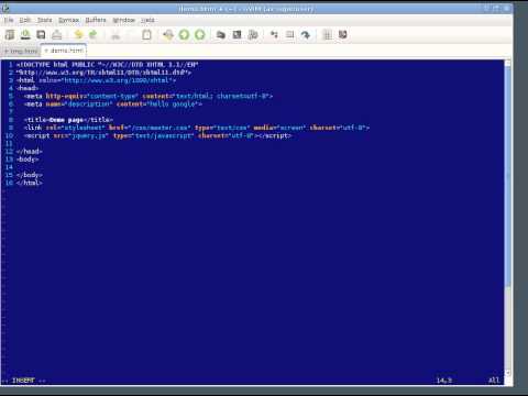 MiniWebCast: Quick HTML With Vim