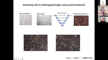 Heba Sailem - Biological Discovery from Large-Scale Imaging Data - Imaging ONEWORLD Series