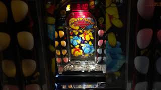 Party Time Coin Pusher - rare 4 push roll screenshot 3