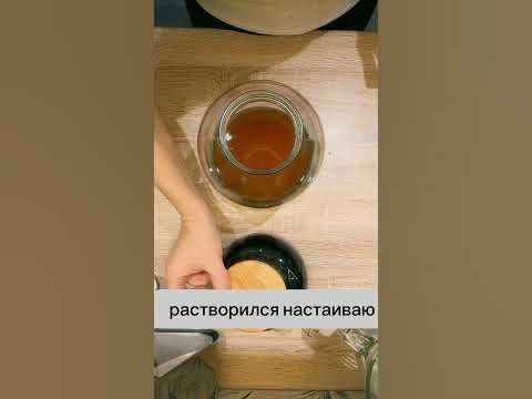 Домашняя КАМБУЧА - это просто. Гриб для камбучи. #чайныйгриб #камбуча # ...