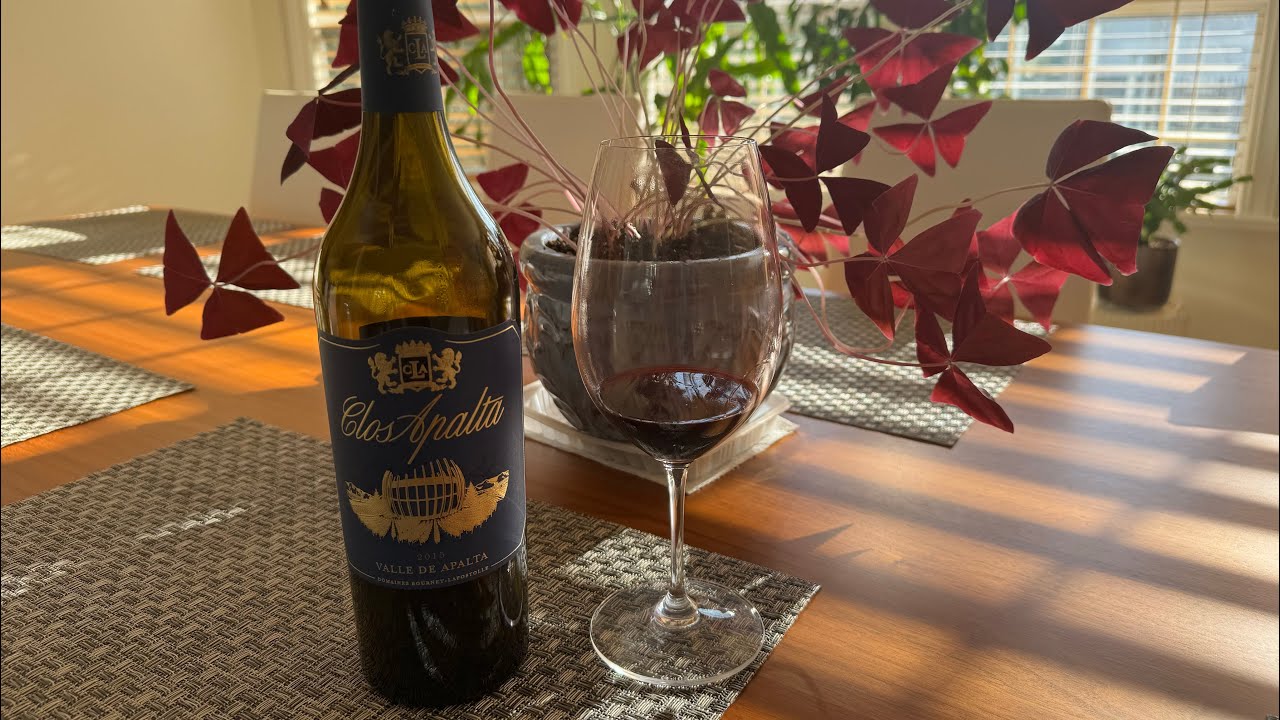 Clos Apalta 2015 Premium Chilean Wine Review
