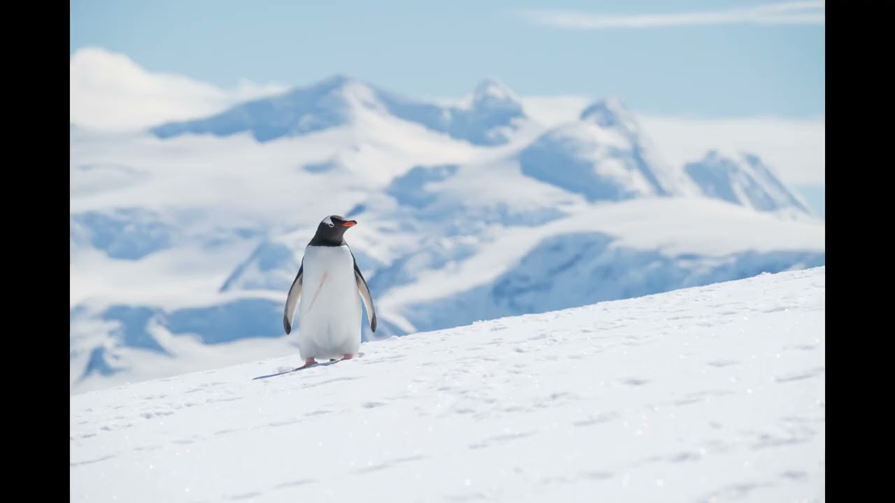 DJ Shnootz - Far-Seeing [Ambient Excursion, Voyage 135]