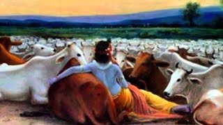 🪷 Krishna bhakti...krishnaji aaye bachaye mujhe. Krishna Saved you🪷