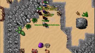 tibia softcores open battle