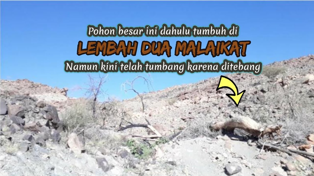 Lokasi Turunnya Dua Malaikat yang Membedah Dada Nabi ﷺ 