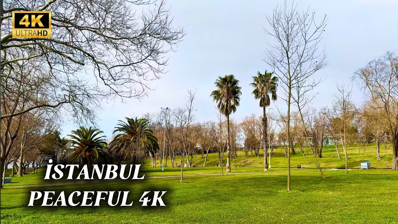 Hidden Green Oasis in Istanbul | Relaxing Nature Walk 4K