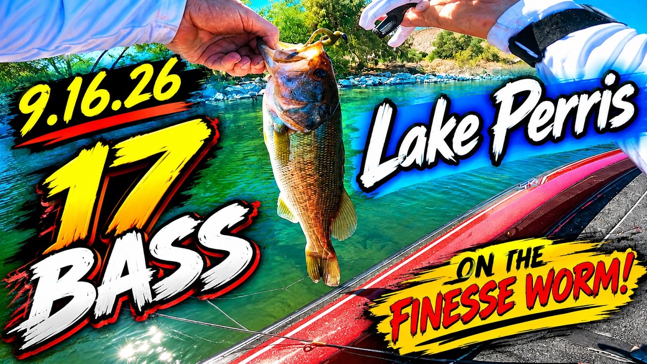 **🔥 17 BASS in Just 3 HOURS! 🎣 Lake Perris Bass Fishing with Baron Outdoors**
