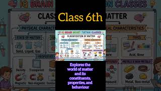 Class 6 Science: Sorting Materials into Groups | Physical & Chemical Properties 🧪 #Class6Science
