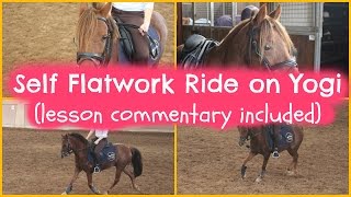Self Flatwork Commentary on YOGI!
