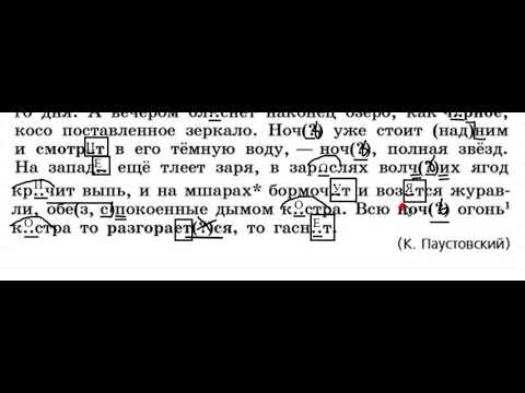 Русский язык 6 класс (Ладыженская). Урок 6. Упражнение 31