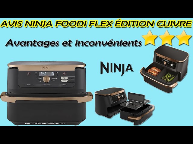 Avis Ninja Foodi Flex AF500EU Faut-il acheter cette Friteuse Sans Huile 10, 4L DualZone, MegaZone ? 