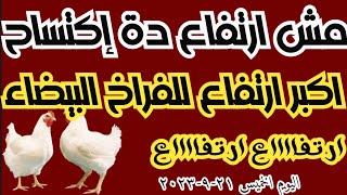 اسعار الفراخ البيضاء اليوم الخميس ٢١ ٩ ٢٠٢٣ للفراخ دواجن البورصة المصرية للدواجن