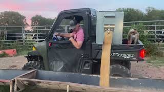 300 lb Feeder dispensing fine  commodity blended feed