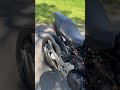 Holiday vibes 🔥 #shortvideo #motorcycle #honda #motopasja #shorts