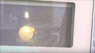 Slow Motion Lightbulb Explosion!!