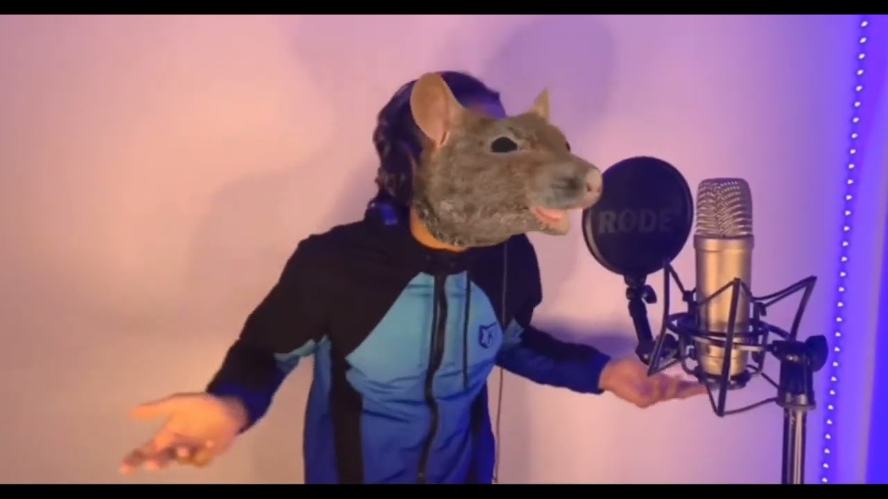 Le Rap Des Rats Chanson – Danse Du Rat 1H – IVJXE