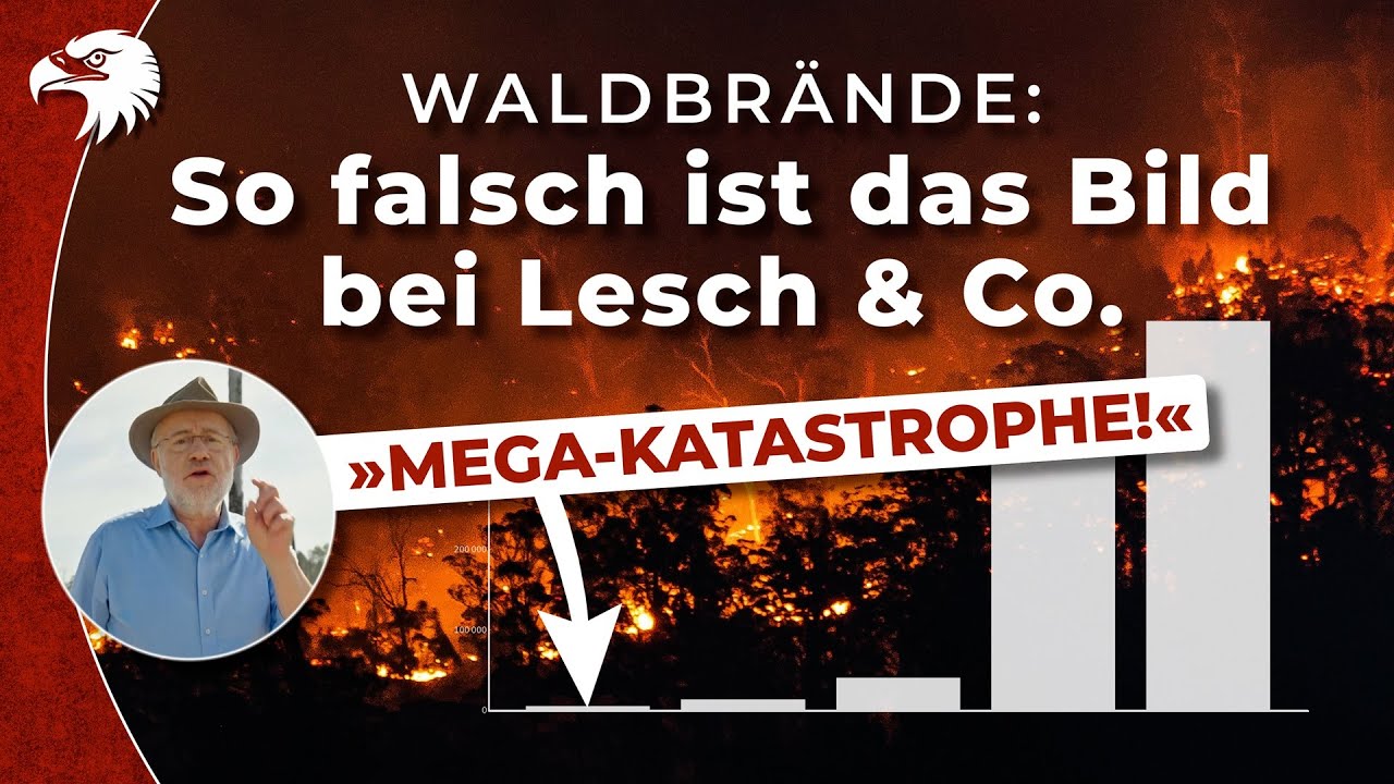 Nehmen Waldbrände wirklich zu? (Adlerauge Nr. 2)