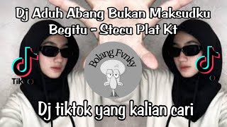 Dj Aduh Abang Bukan Maksudku Begitu  Dj Stecu Stecu Sound Viral Sandikawek Fyp Tiktok 2025 