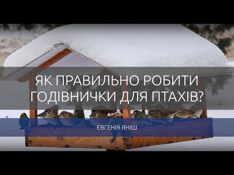 Як правильно зробити годівничку для птахів?