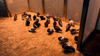 Ask CTA: "Who’s taking responsibility for cleaning up these platforms?"