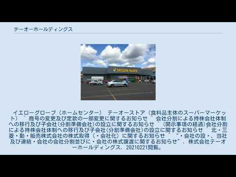 テーオーホールディングス