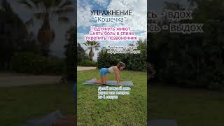 Упражнение "Кошка"  | Natinfitness