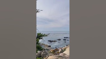 Thumbnail of Monterey Road-trip / Vlog 3: Scenic 17-Mile Drive
