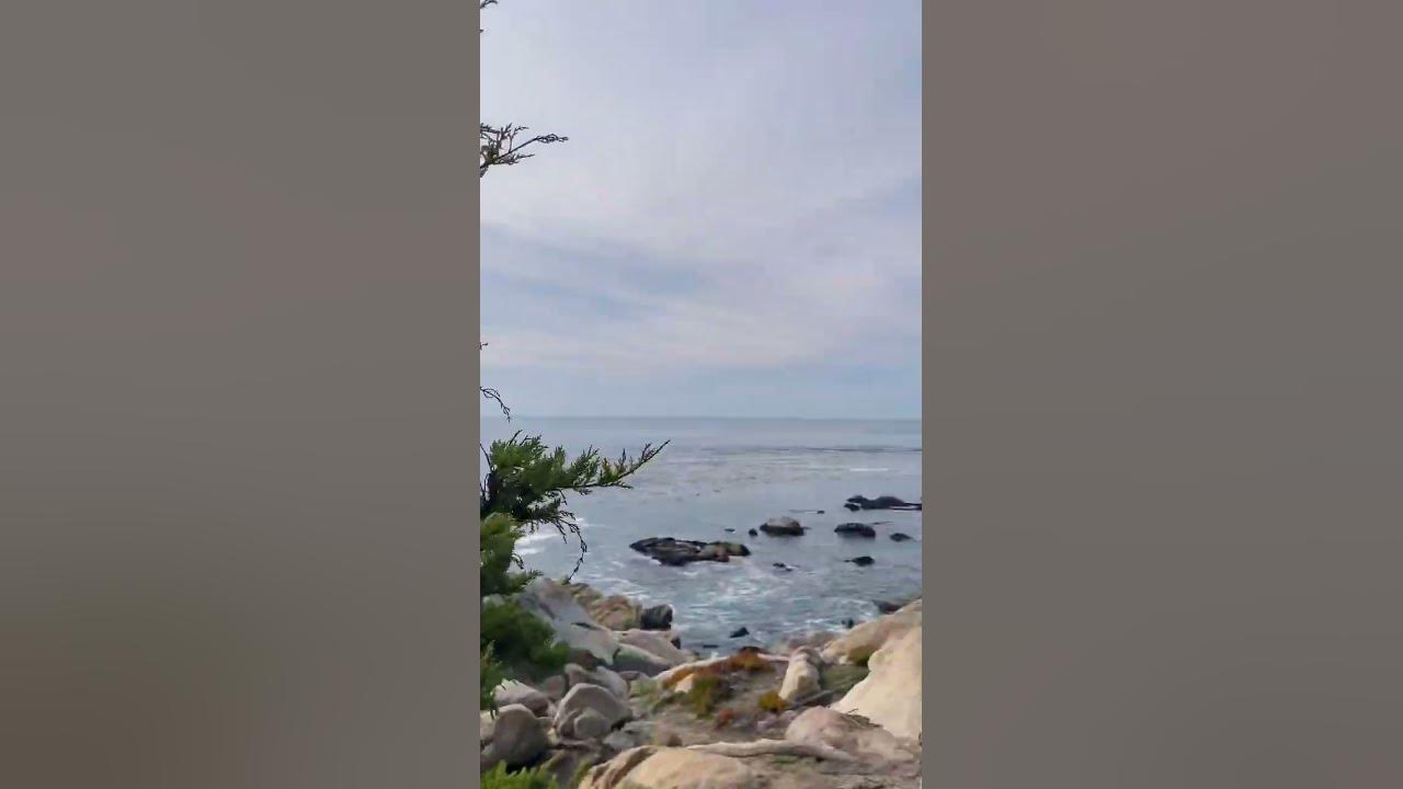 Monterey Road-trip / Vlog 3: Scenic 17-Mile Drive