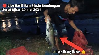 🔴 Live Pladu Bendungan Serut 2024