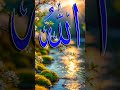QUR'AN WITH URDU RECITATION 😭😭🤲🤲 #quranrecitation #bayan #LOVE #MOTIVATION