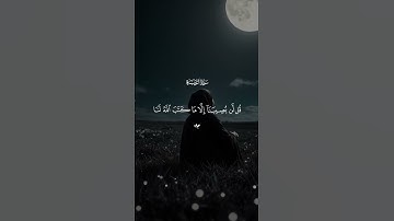 🌿 تلاوة خاشعة من سورة التوبة – الآية 51 بصوت يلامس أعماق القلب 🌿