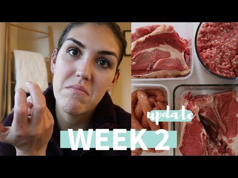 30-day-carnivore-diet-experiment-|-adding-back-in-eggs-and-dairy-+-homemade-beef-jerky-(week-2)