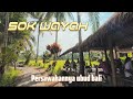 SOK WAYAH UBUD BANYAK VILLA DENGAN NUANSA PERSAWAHAN
