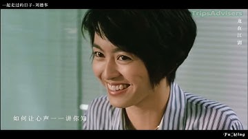Tình Nhạt Phai  | Lưu Đức Hoa | Andy Lau | Nhạc Hoa Cực Hay