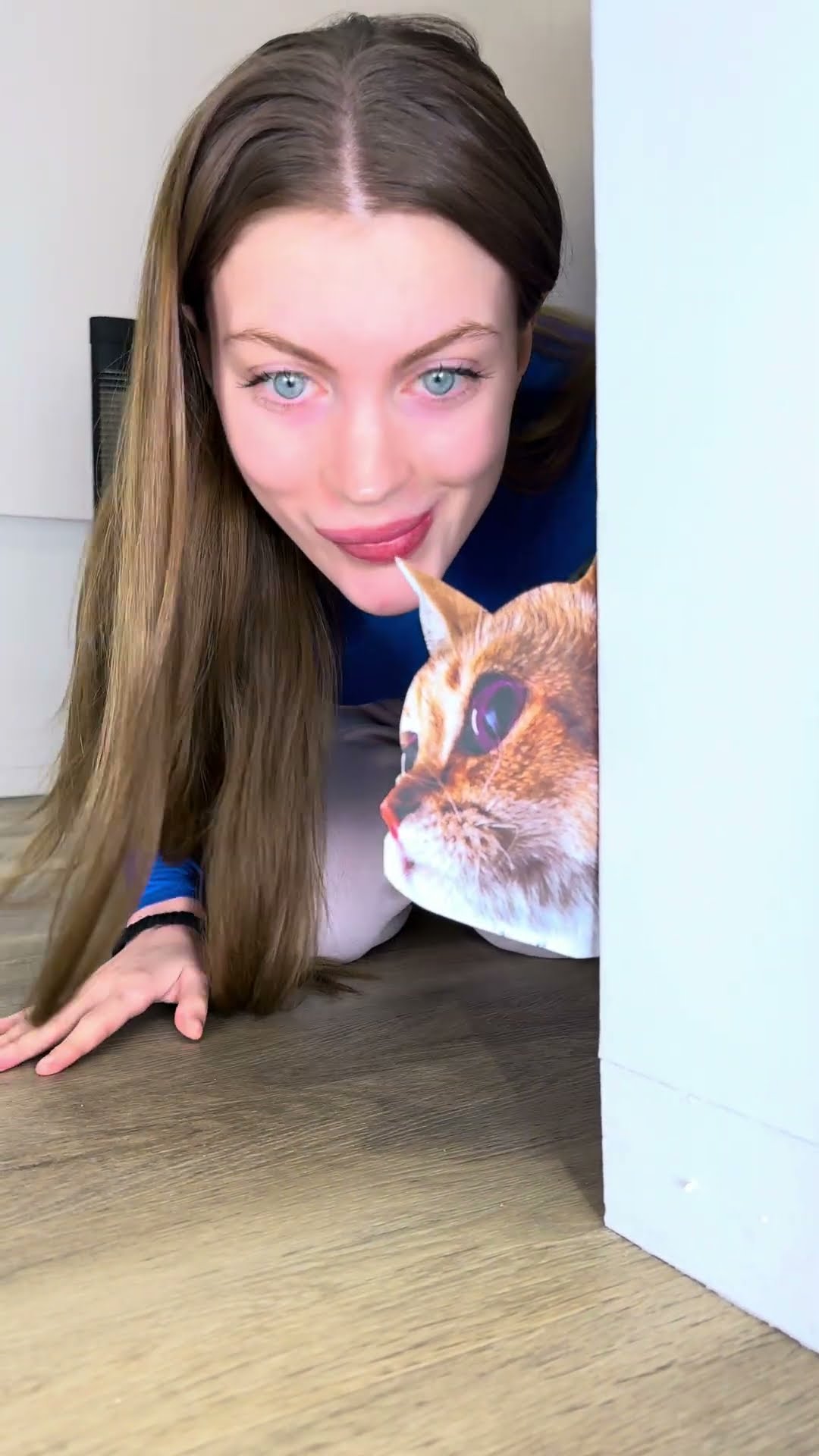 How do you like my new Prank? ? #cat #cats