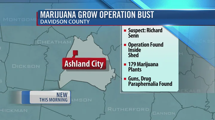 Man Arrested After 179 Marijuana Plants, Grow Operation Found In Shed