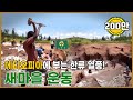 에티오피아에 새마을 운동을! ｜포항MBC 특집다큐 "새마을 운동"