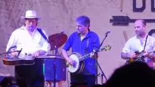 Ed Helms at Bonnaroo 2015 (The Bluegrass Superjam p1)