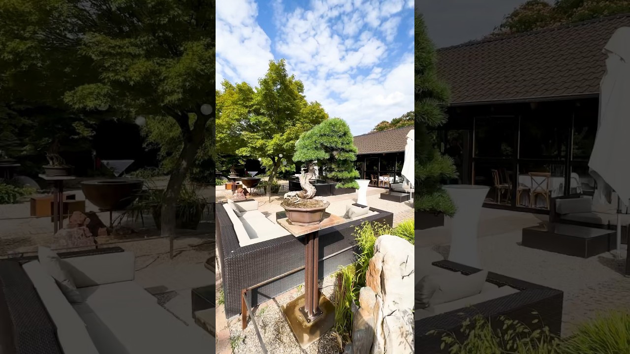 Germany's oldest Bonsai nursery (part 1) - Bonsaizentrum Heidelberg -  YouTube