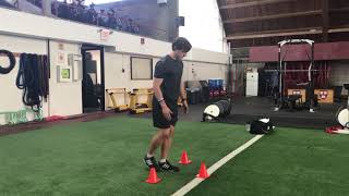 Single Leg 3 Way Touches