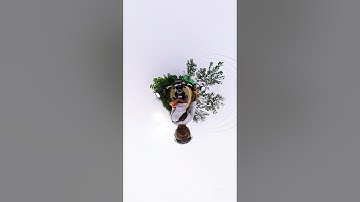 Insta360 camera😂😂 funny editing #insta360 #360videos #automobile #viral #funny #shorts  #dbdrider