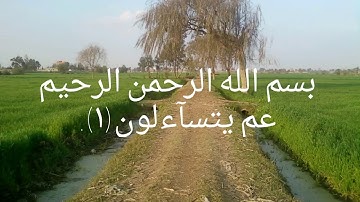 سورة النبأ  بصوت الشيخ هانى  عبد  الله