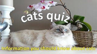 cats trivia quiz Pawsome Cat Quiz: Test Your Knowledge on Cat Breeds, Behavior, and More screenshot 4