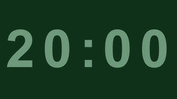 20 Minute Timer with Alarm WITHOUT MUSIC