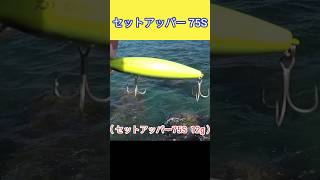 チビアッパー #セットアッパー #Shorts #釣り #fishing
