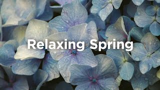 Relaxing Spring Playlist  Chill Vibes for Sunny Days ☀